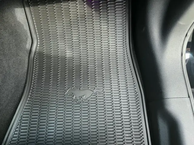 Ford Mustang po čistení, fotka 16