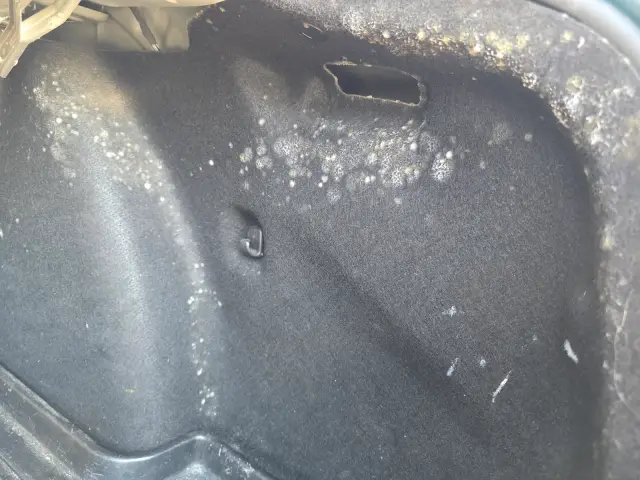Renault po čistení